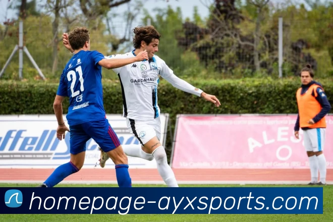 爱游戏平台生态图